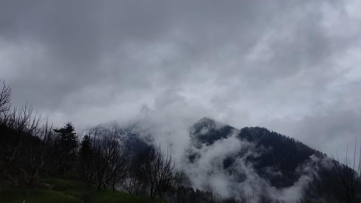 JibhiDeep In Woods别墅 外观 照片