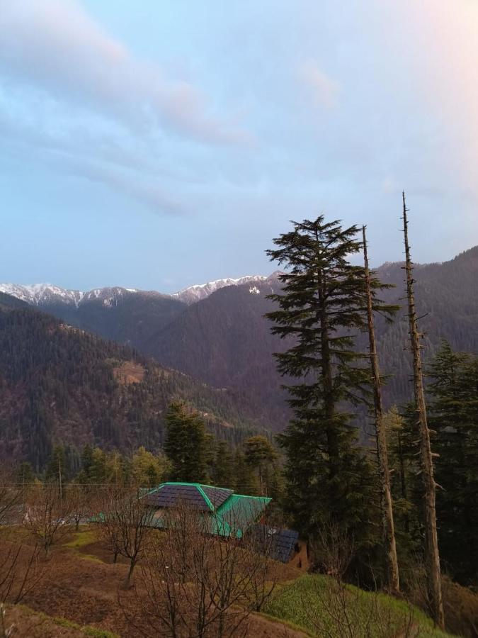 JibhiDeep In Woods别墅 外观 照片