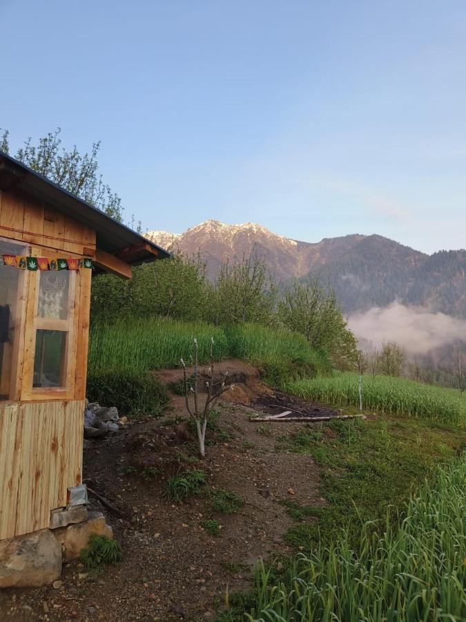 JibhiDeep In Woods别墅 外观 照片