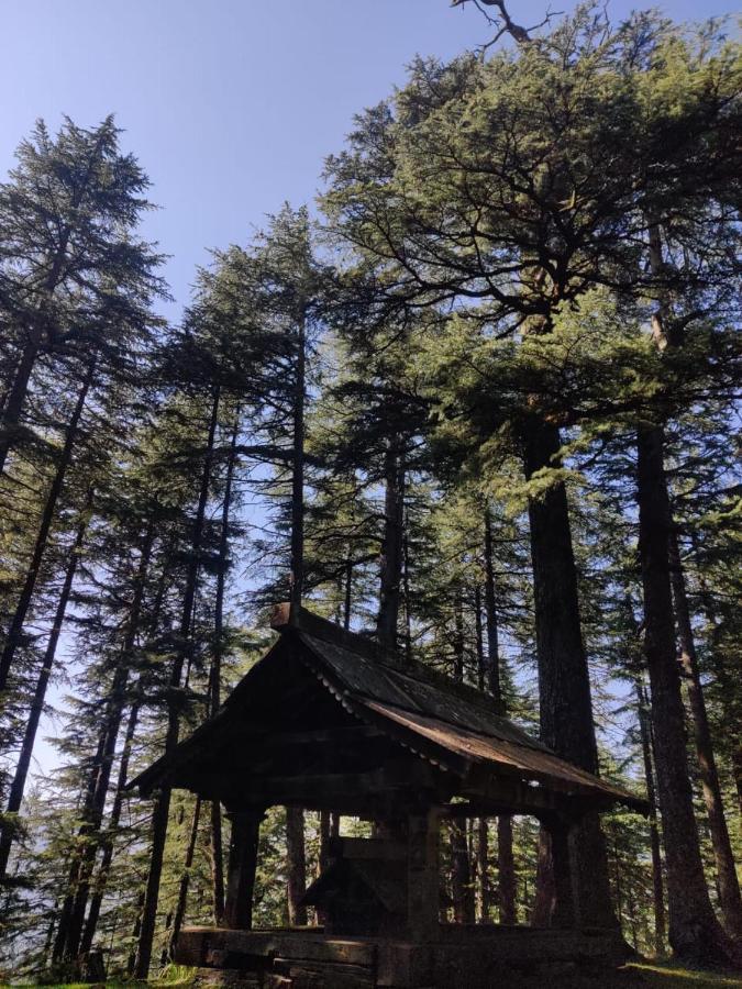 JibhiDeep In Woods别墅 外观 照片