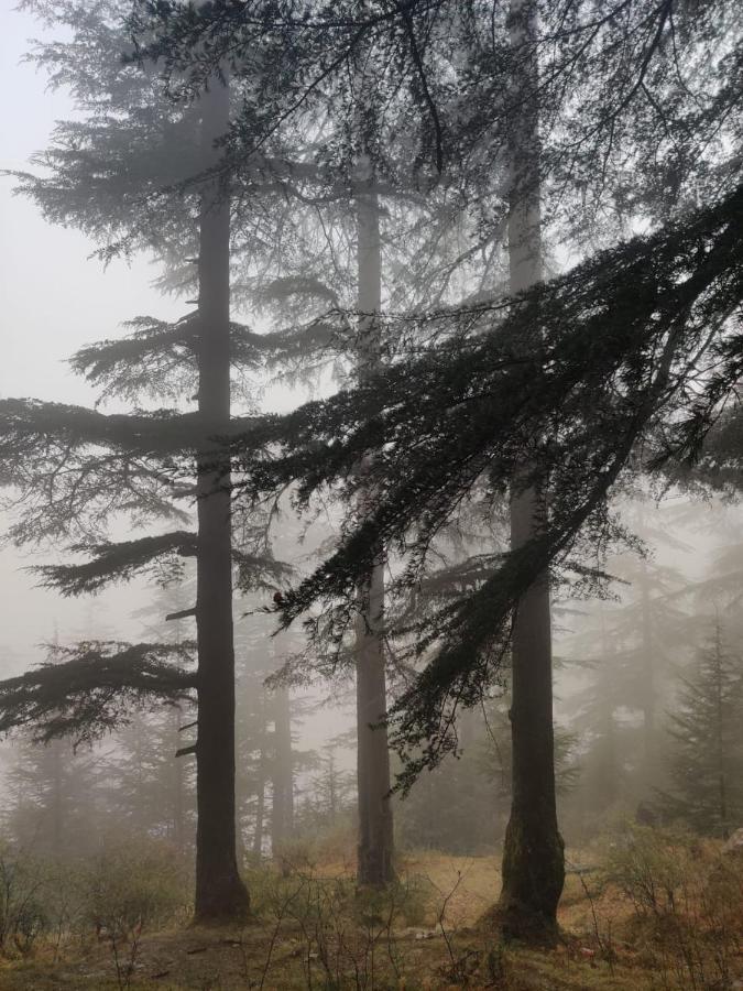 JibhiDeep In Woods别墅 外观 照片