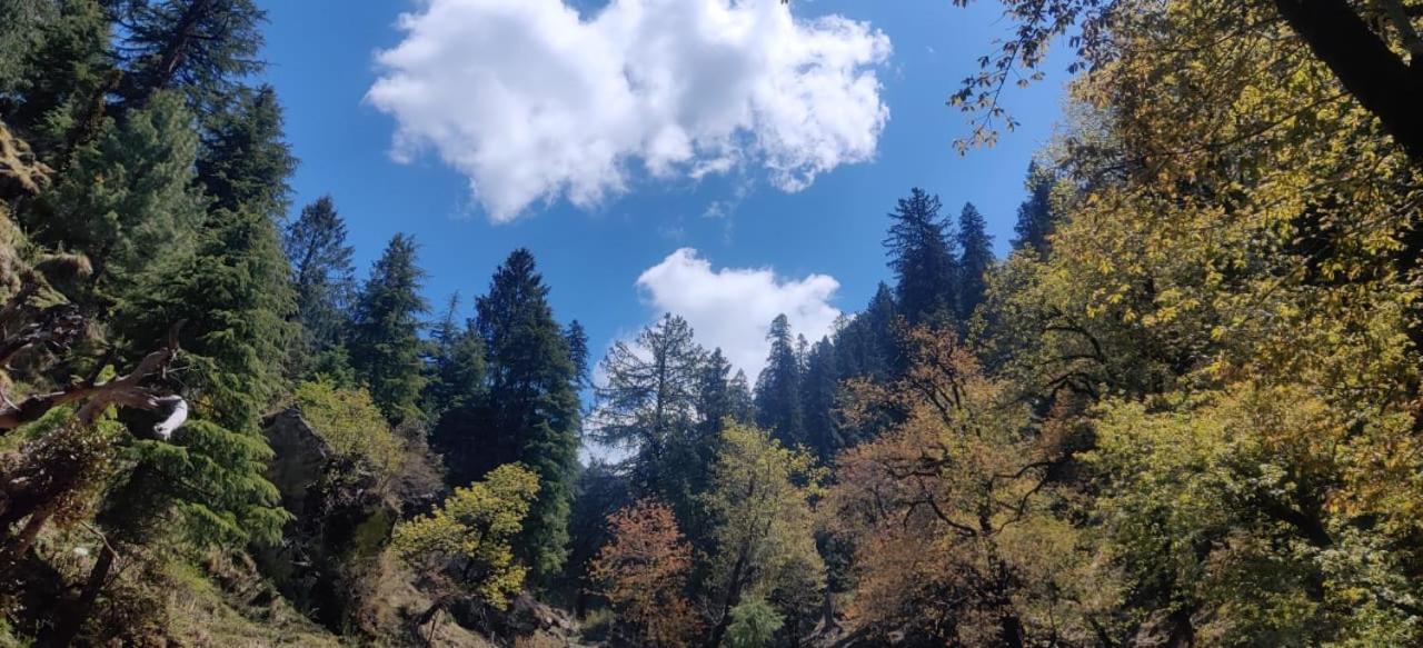 JibhiDeep In Woods别墅 外观 照片