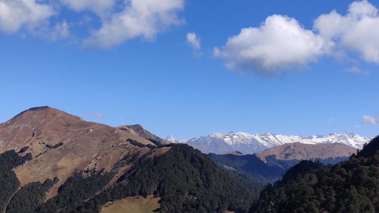 JibhiDeep In Woods别墅 外观 照片