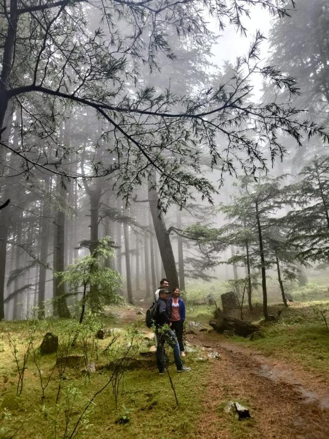 JibhiDeep In Woods别墅 外观 照片