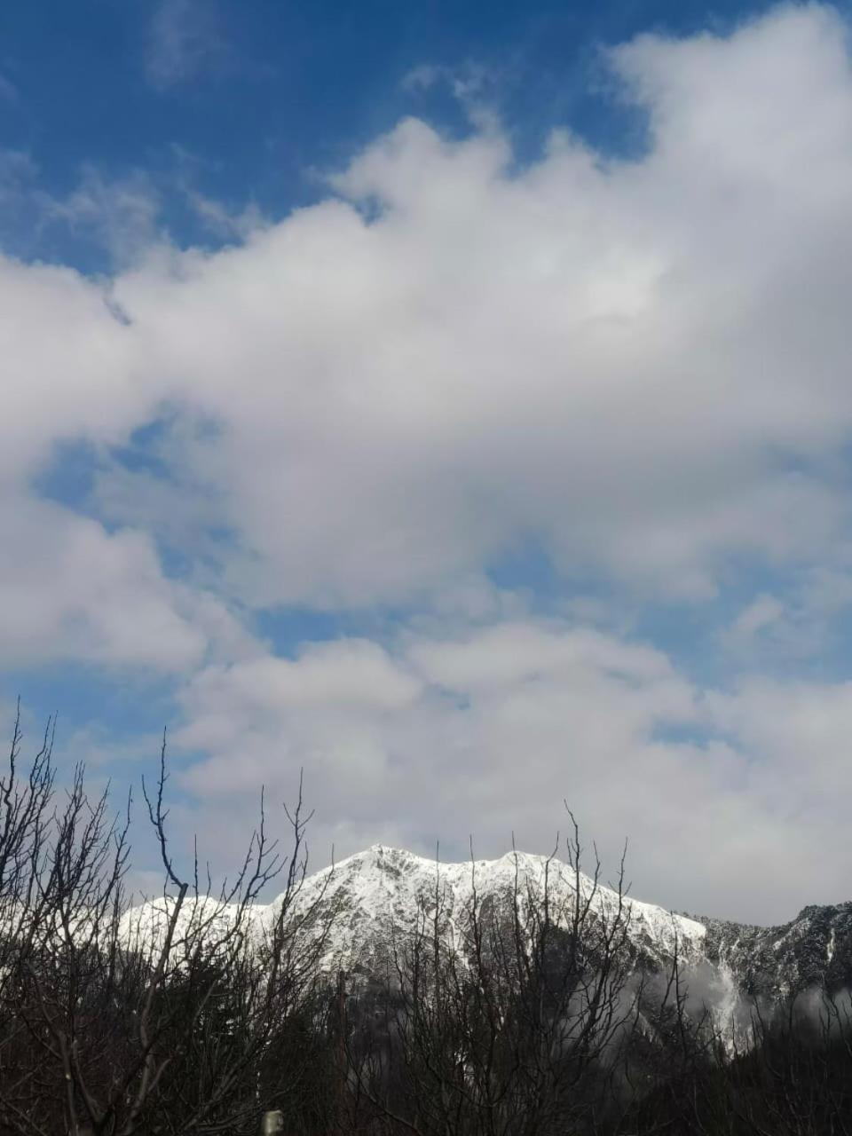 JibhiDeep In Woods别墅 外观 照片