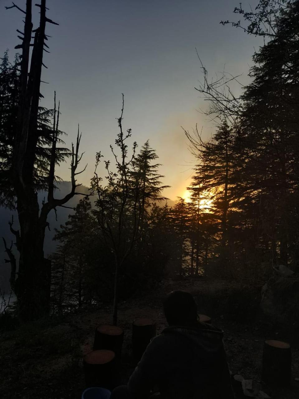JibhiDeep In Woods别墅 外观 照片